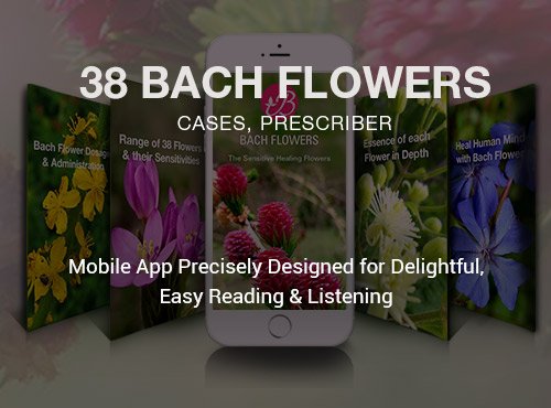 Bach-Flower-cases